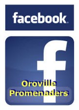 Facebook-Oroprom
